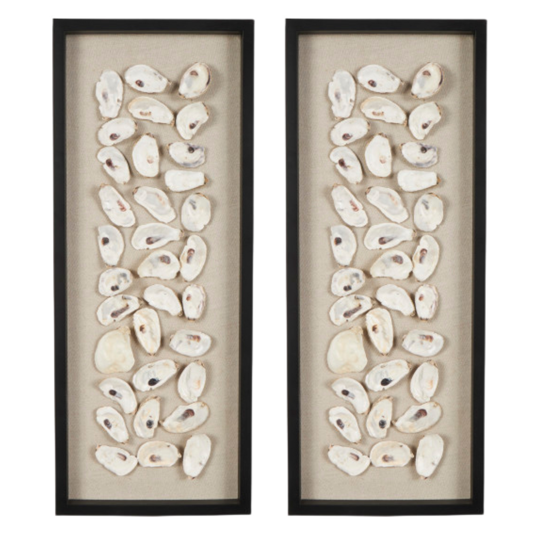 Handmade Shell Display Wall Decor Set, 30"