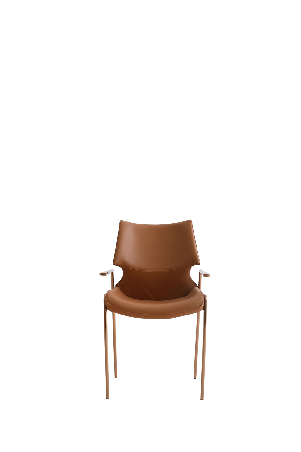 Arden Dining Chair